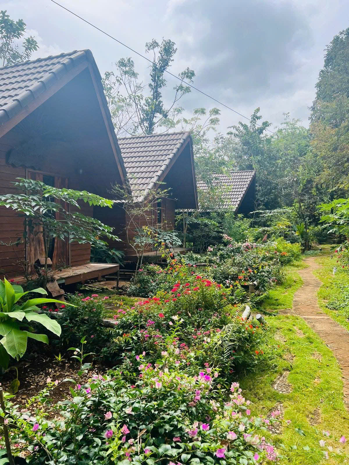 z6190419801228_0f162175d47fdd0a3f7f1584c0825556