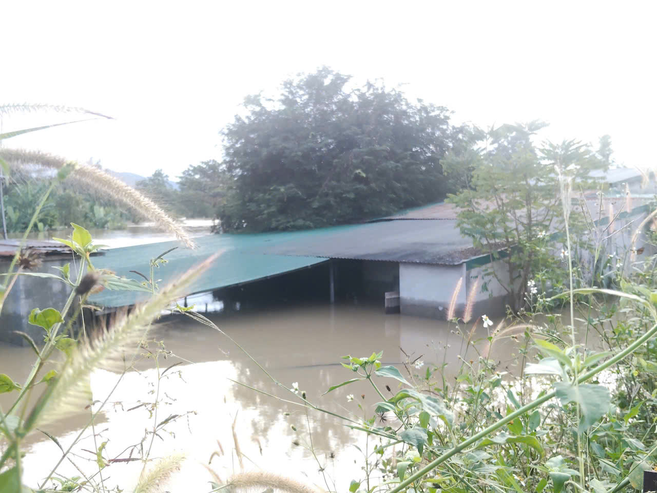 z7263375830608_0b1225fd3ff48754bc345a20a237346d