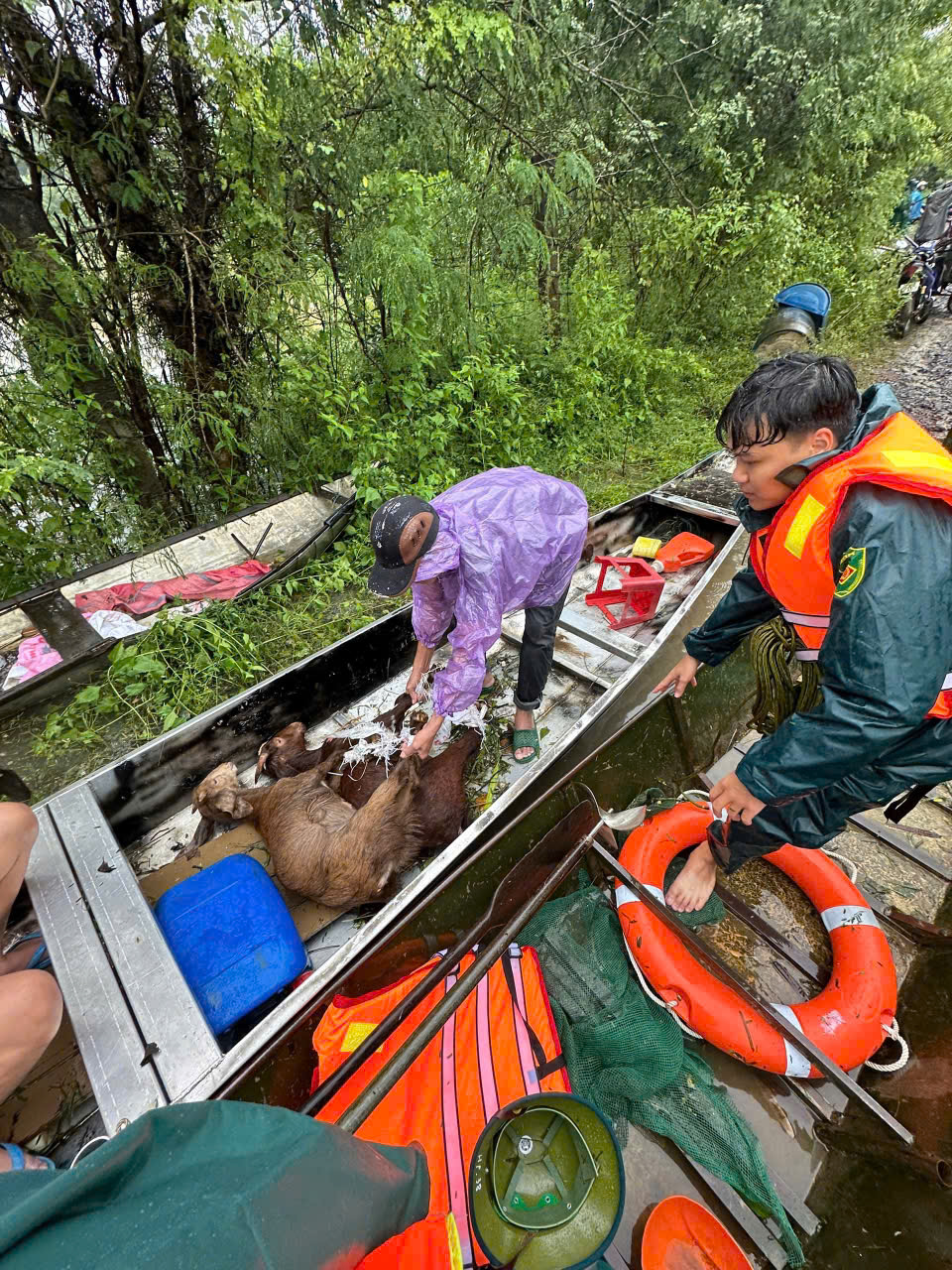 z7263407792303_ffe57650479764ef83ad26d0c9befa7b